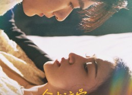 【命中注定我爱你】63集短剧免费在线全集细品