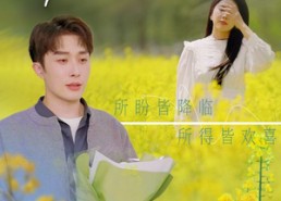 【情谊绵绵终有时】71集免费短剧在线览看