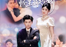 【在冷漠的他怀里撒个娇】84集短剧在线播放免费看