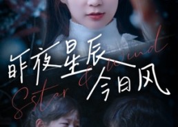 【昨夜星辰今日风】62集免费短剧在线看全集