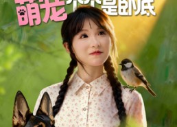 【七零辣妻不好惹萌宠个个是卧底】96集短剧全集在线细看