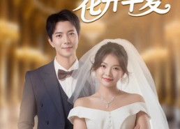 【非她不娶，花开半夏】63集短剧完整版免费在线观