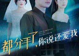 【都分手了你说还爱我】33集在线短剧免费看全集