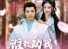 【谁敢动我的王妃】62集免费短剧完整版在线观看