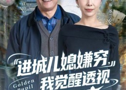 【进城儿媳嫌穷，我觉醒透视黄金瞳】85集在线短剧免费全集播放