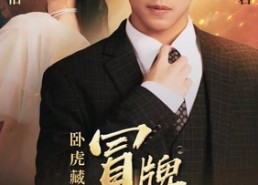 【卧虎藏龙之冒牌神婿】85集免费在线看短剧全集