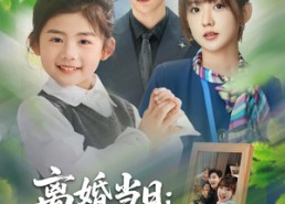 【离婚当日崽崽带爹来二嫁】66集免费在线短剧全集观