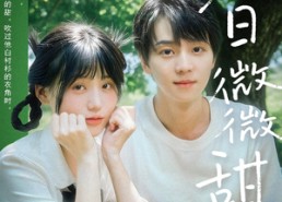 【夏日微微甜】79集短剧免费全集线上观瞧