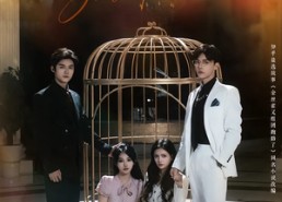 【金丝雀又组团跑路了（长篇）】短剧高清全集在线免费享