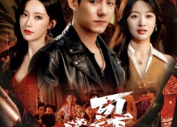 【一哥】67集在线看短剧完整版