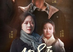 【倒数百日的温柔】61集短剧免费全集畅观