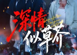 【深情似草芥】51集短剧免费全集线上赏看