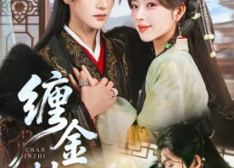 【缠金枝】69集短剧免费高清在线观看