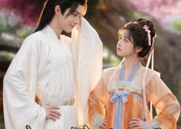 【我的神医夫君】50集短剧免费完整观看
