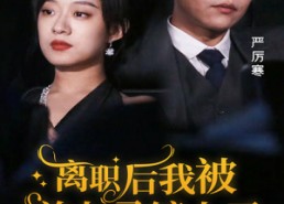【离职后，我被前上司缠上了】100集短剧全集免费观瞧