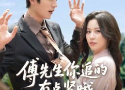 【傅先生你追的有点紧哦】95集短剧免费全集线上观看