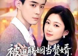【被迫联姻当赘婿，太子爷上房揭瓦】80集短剧全集在线免费赏