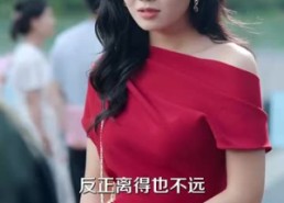 【你一离婚律师：怎么尽干媒婆活】80集短剧在线全集免费观赏