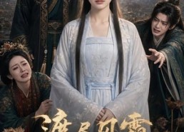 【渡尽风霜赴清欢】58集短剧完整版在线观看