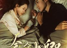 【念念如卿】76集免费短剧完整版赏看