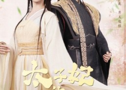 【太子妃的休夫大业】84集短剧免费高清在线看