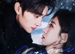 【雪落时逢你】75集精彩短剧免费完整播放