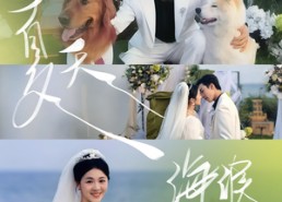 【夏天，海浪与你】76集短剧免费在线赏视