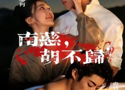 【南慈，胡不归】57集短剧全集免费畅看