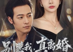 【别惹我，真离婚你全家都得慌】60集短剧在线完整播放