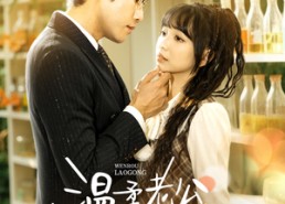 【温柔老公护短又爱妻】60集短剧免费畅享观看