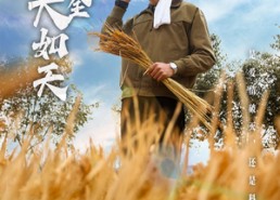 【粮食安全大如天】43集短剧资源在线速看