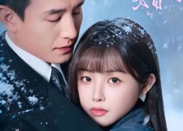 【撕婚】23集短剧免费在线观看无广告