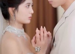 【传闻陆总爱我如命】66集夸克短剧在线观览