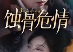【蚀骨危情】81集在线短剧免费全集赏视