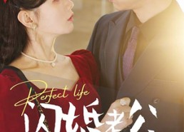 【闪婚老公相逢不相识】在线免费看90集短剧全集