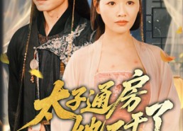 【太子通房她不干了】70集在线免费短剧观览