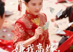 【嫌我高嫁，那就不嫁】62集高清短剧免费在线看