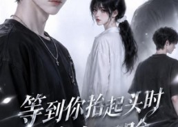 【等到你抬起头时转身回眸（第二季）】73集短剧全集免费在线赏看
