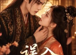 【误入君怀】80集热门短剧免费高清观看