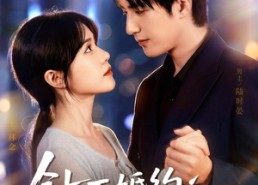 【钻石婚约：陆总，夫人又在打工了】84集免费短剧在线观看