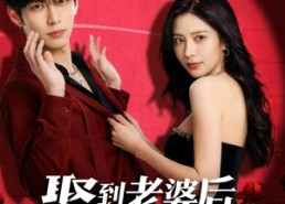 【娶到老婆后我沦陷了】56集短剧全集免费畅看