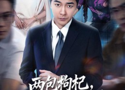 【两包枸杞，让我晋升了副总】65集短剧在线免费观映