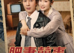 【肥妻喜事&肥妻囍事】77集短剧免费完整在线赏