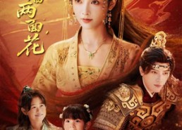 【朱墙两面花＆她栖明月台】63集短剧免费在线全篇看