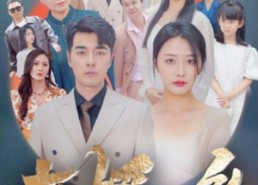 【女婿回乡】120集短剧免费在线览看