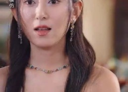 【裴夫人是朵带刺的小玫瑰】69集短剧全集免费观