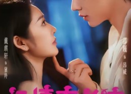 【危情泰兰德】60集短剧免费畅享观看