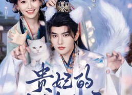 【贵妃的白猫夫君】81集短剧全集免费在线播映