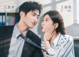【盛律师的离婚前规则】97集短剧全集免费在线观赏