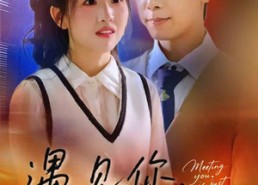 【遇见你时光正好】50集短剧免费在线赏观